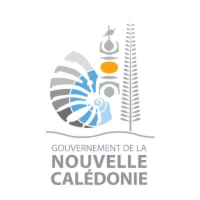 logo de Direction de l'aviation civile en Nouvelle-Calédonie 